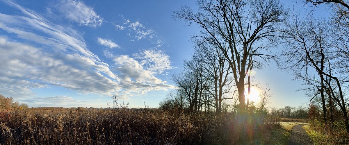 Woodland Hills Tree Board